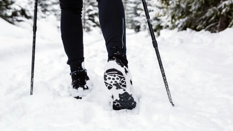Die Top 10 der schönsten Winterwanderwege in Baden-Württemberg