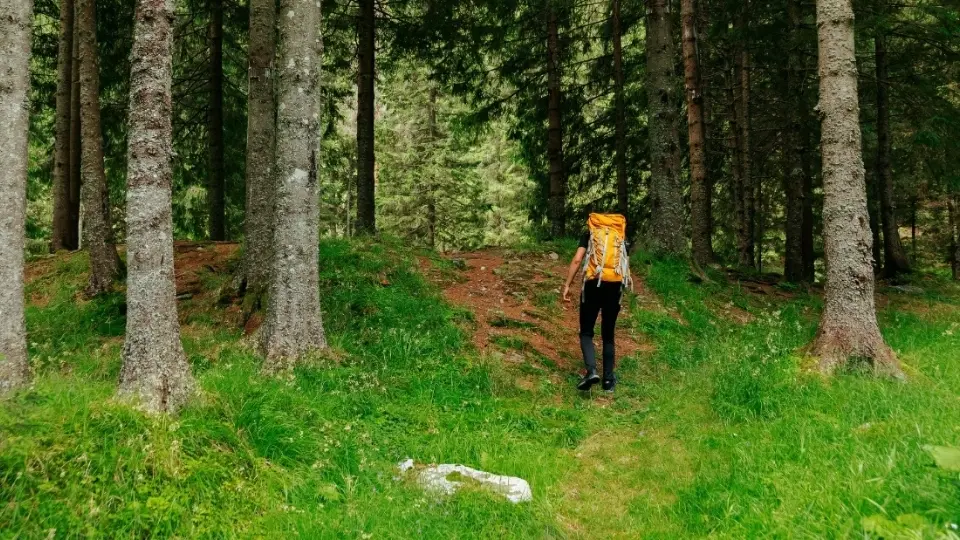 Die Top 10 der schönsten Wanderwege in Baden-Württemberg