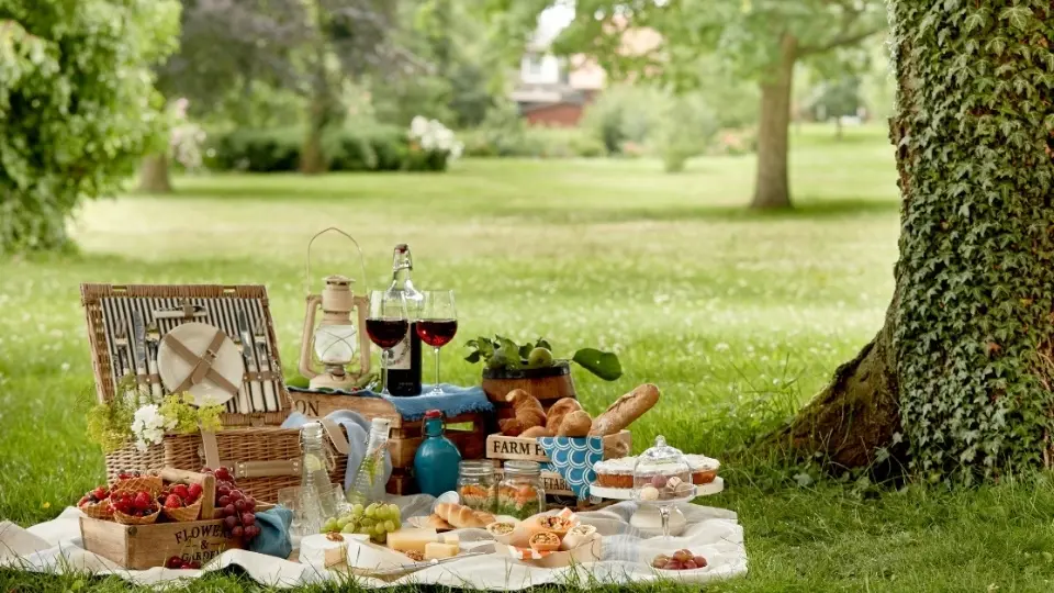 Die Top 10 der idyllischsten Picknick-Spots in Baden-Württemberg
