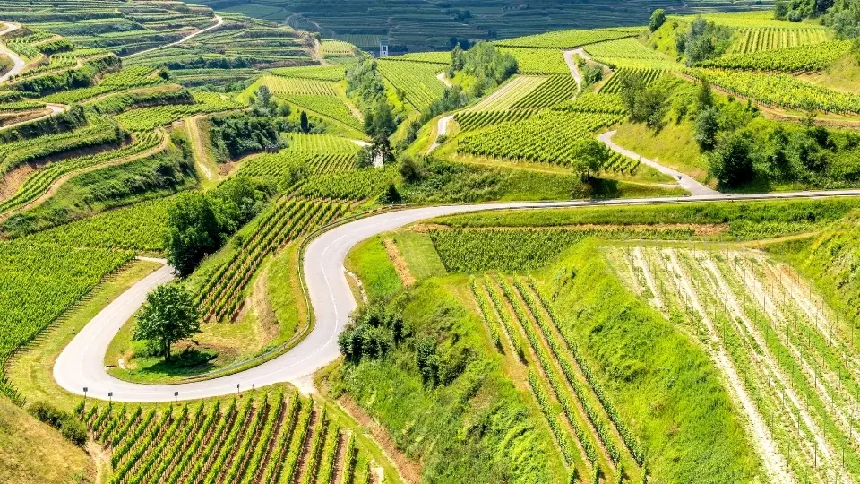 Die Top 10 der besten Weinwanderungen in Baden-Württemberg