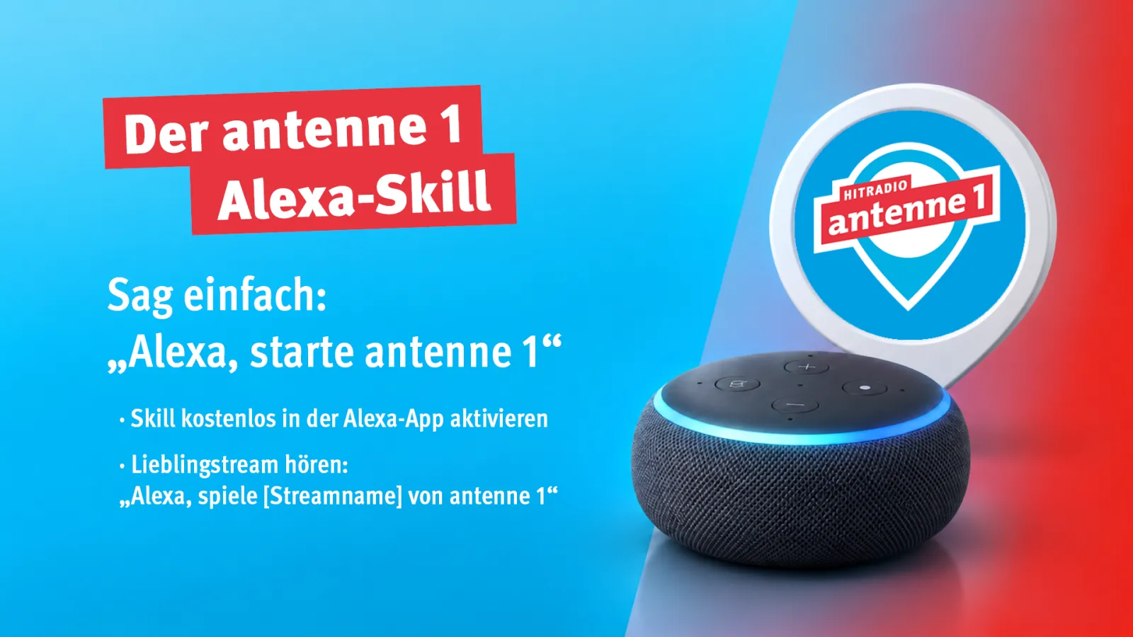 Echo Dot Darstellung und Alexs-Skill Symbol