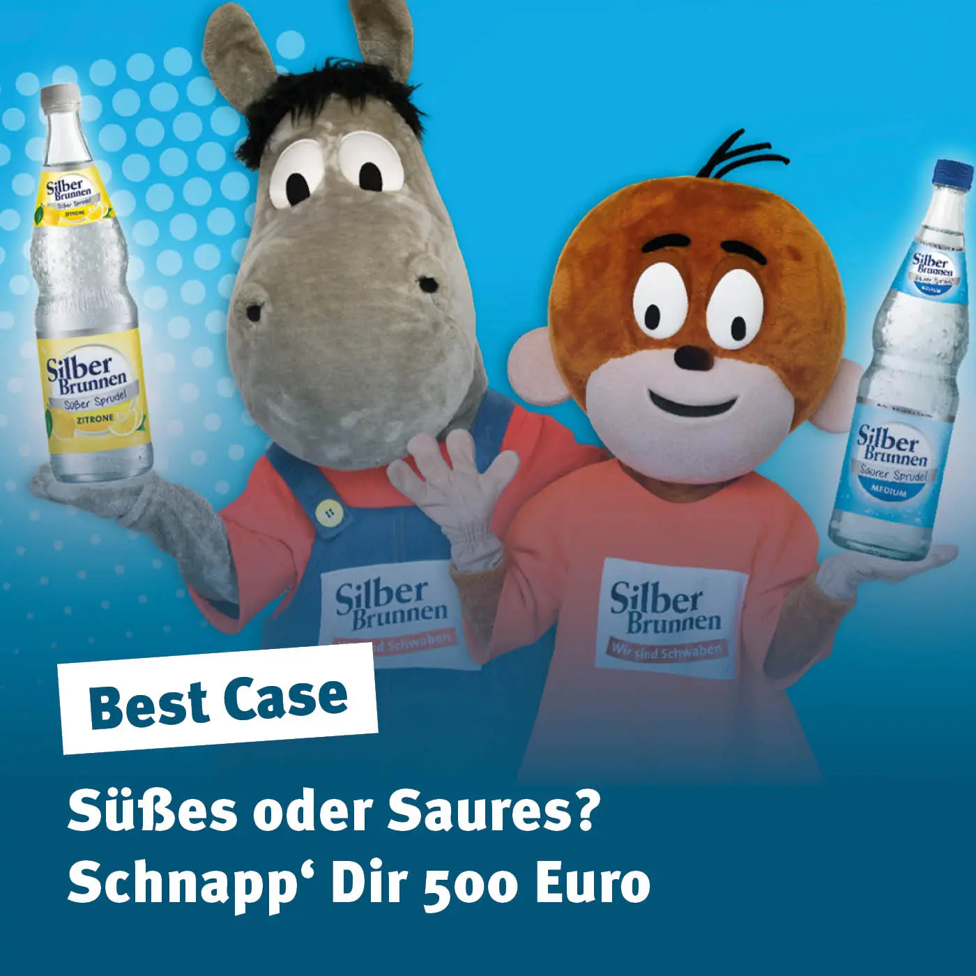Programmaktion mit SilberBrunnen