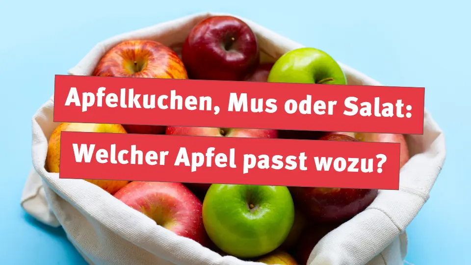 Apfelkuchen, Mus oder Salat: Welcher Apfel passt wozu?