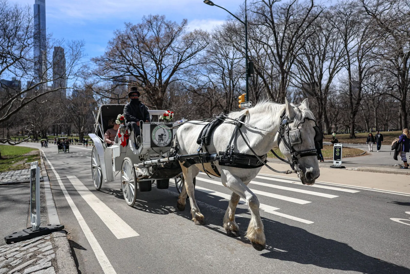Aus für Pferdekutschen in New York - und bald auch anderswo?