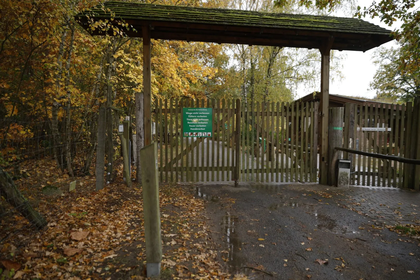 Behörden wollen Wolfsangriff im Wildpark aufarbeiten