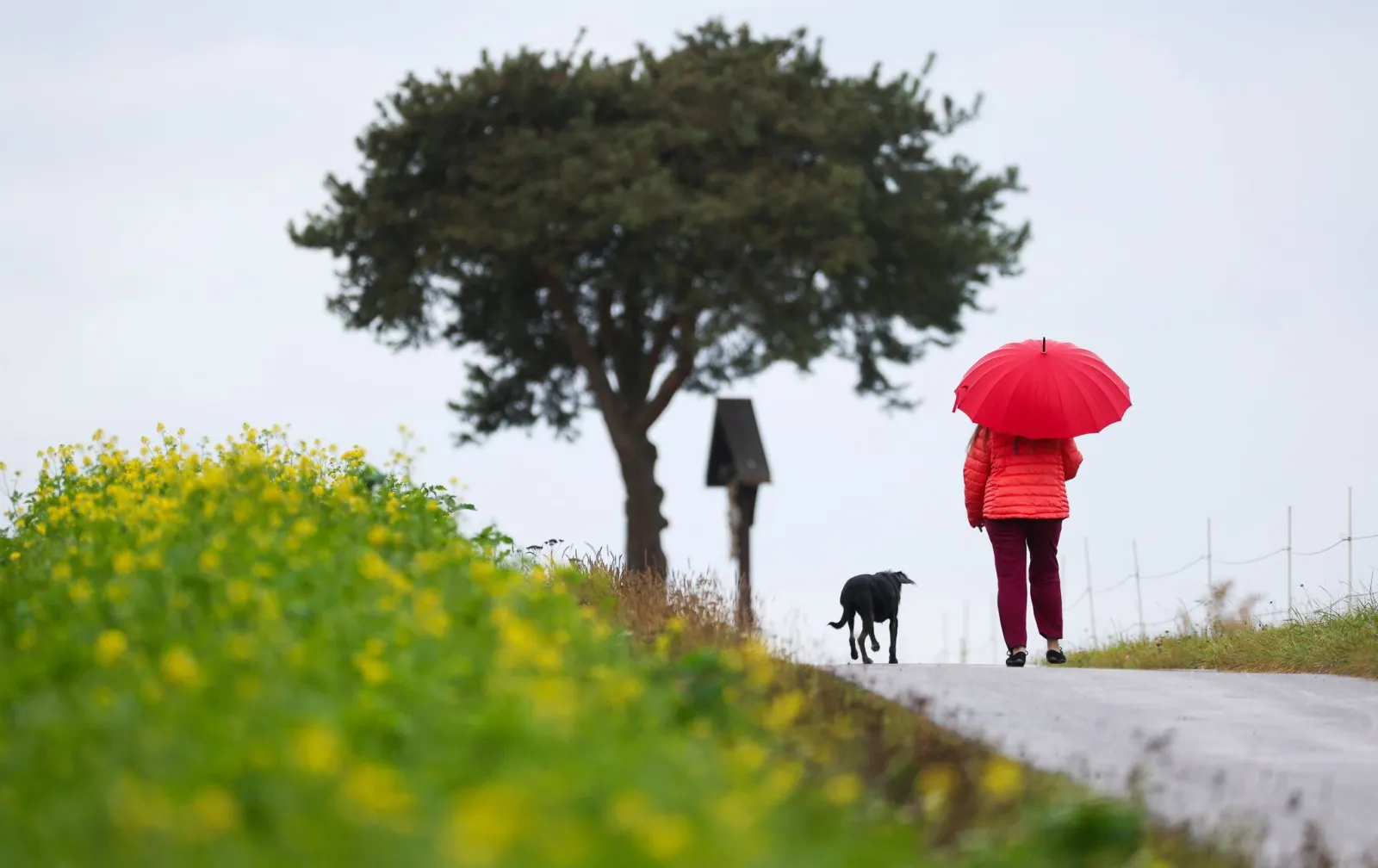 Bis zu 50 Liter Regen pro Quadratmeter im Südwesten