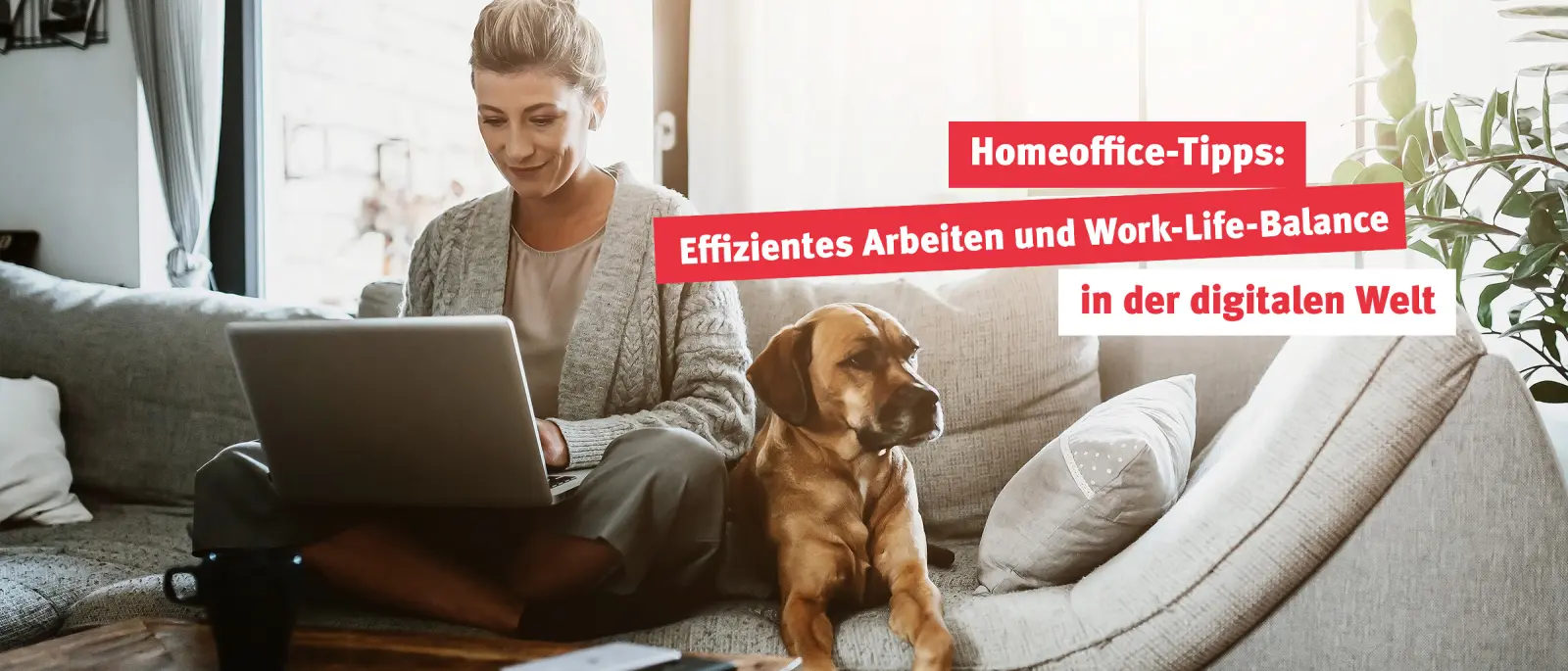 Homeoffice-Tipps: Effizientes Arbeiten und Work-Life-Balance in der digitalen Welt