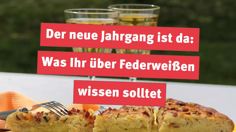 Der neue Jahrgang ist da: Was Ihr über Federweißen wissen solltet