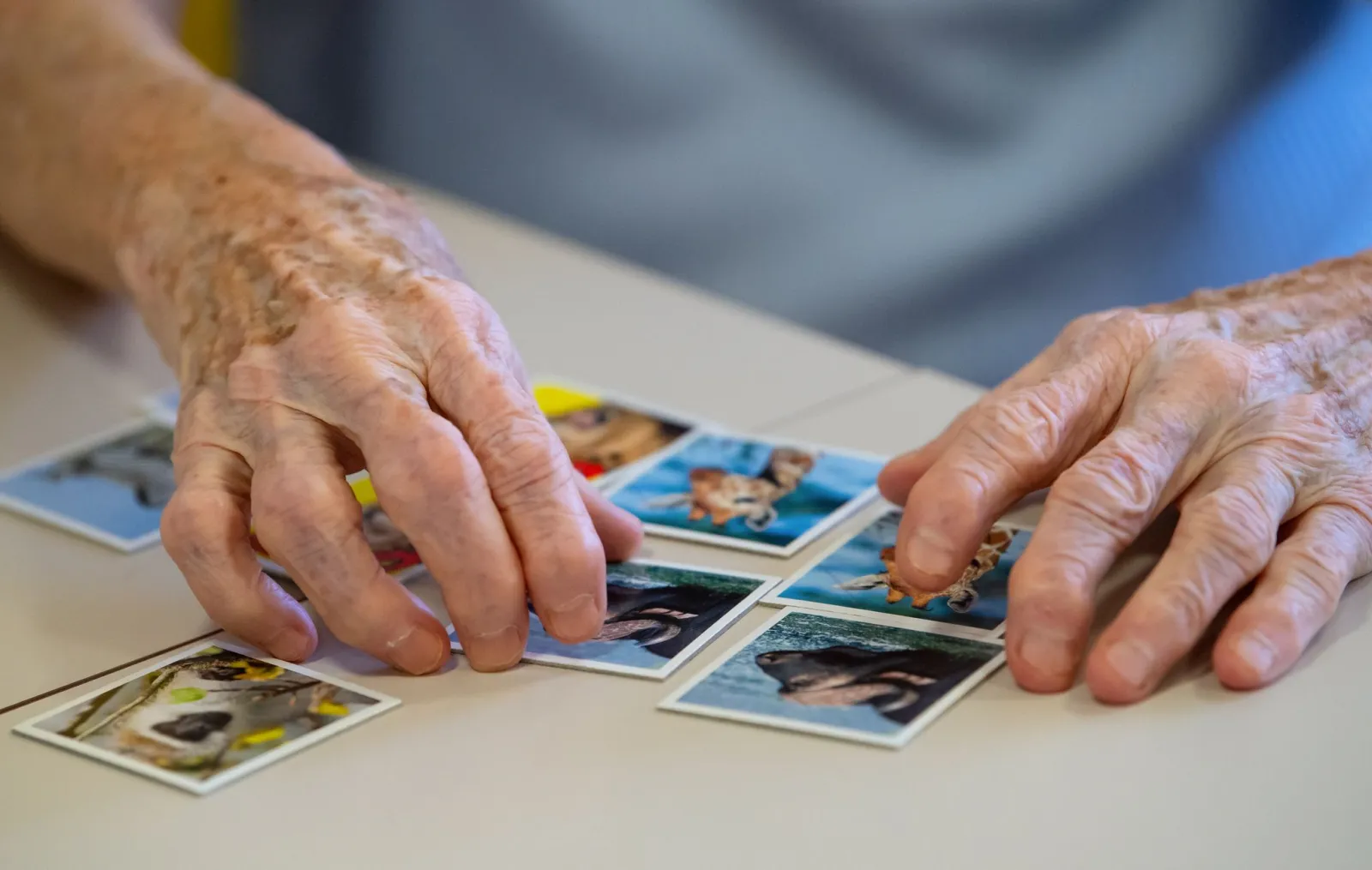 Experte: Hilfe Angehöriger von Demenz-Patienten essenziell