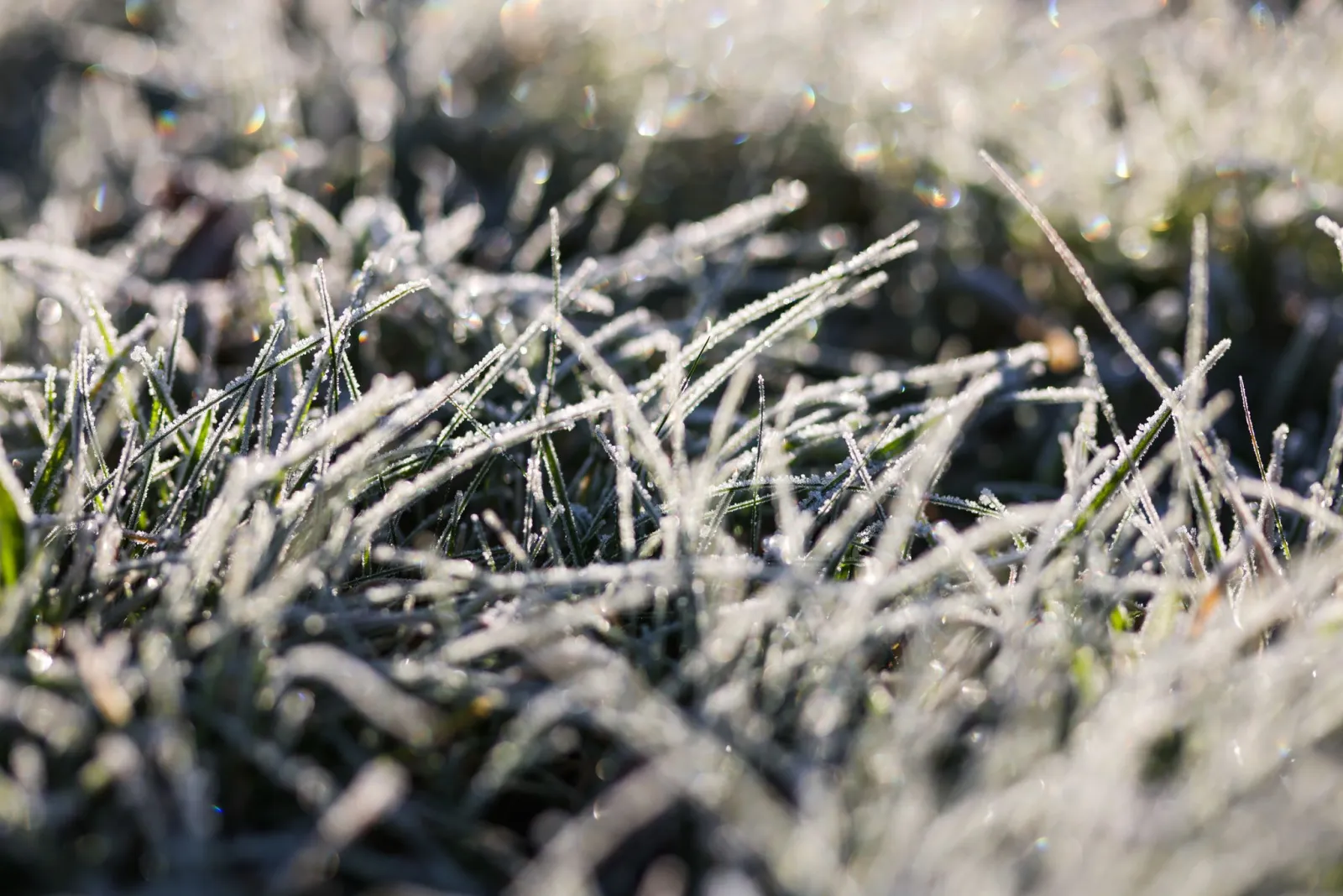 Frost und Nebel: So kalt wird es in den kommenden Tagen