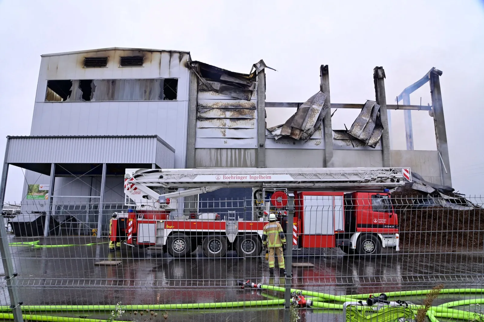 Großbrand in Gemüsebetrieb in Singen ist gelöscht