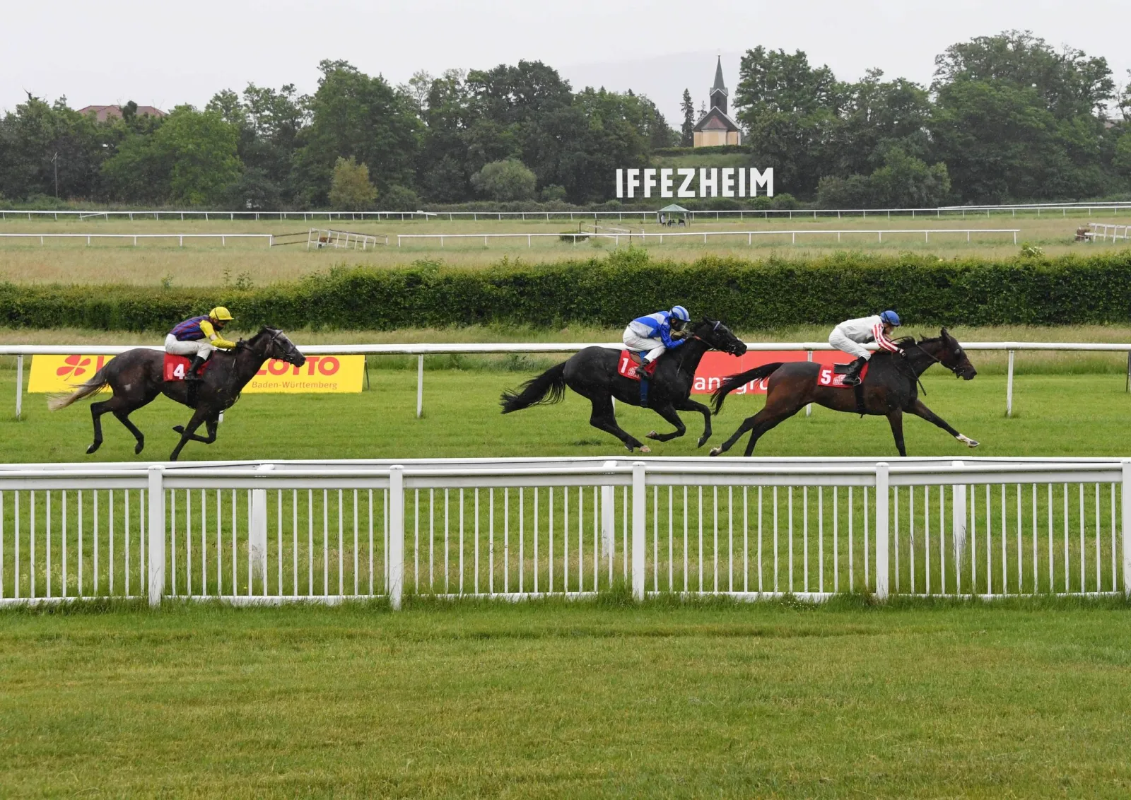 Hengst Karlos triumphiert im Leisten-Memorial