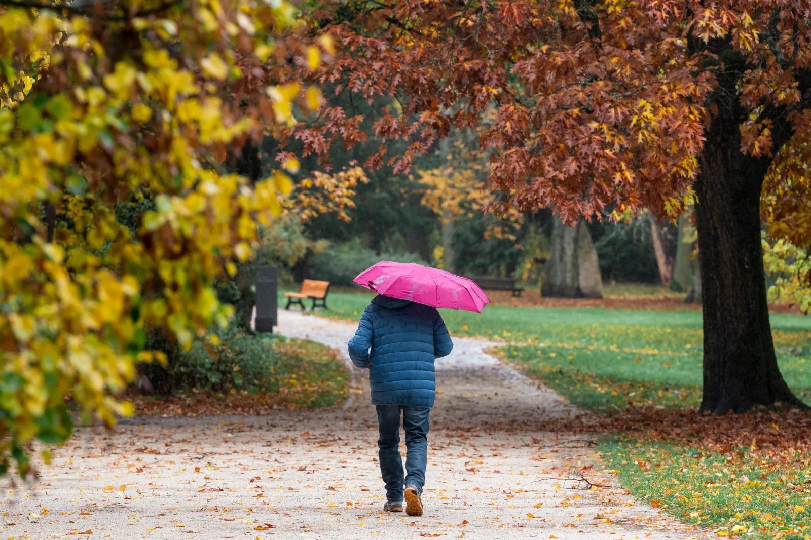 Herbst bleibt überwiegend trüb und regnerisch