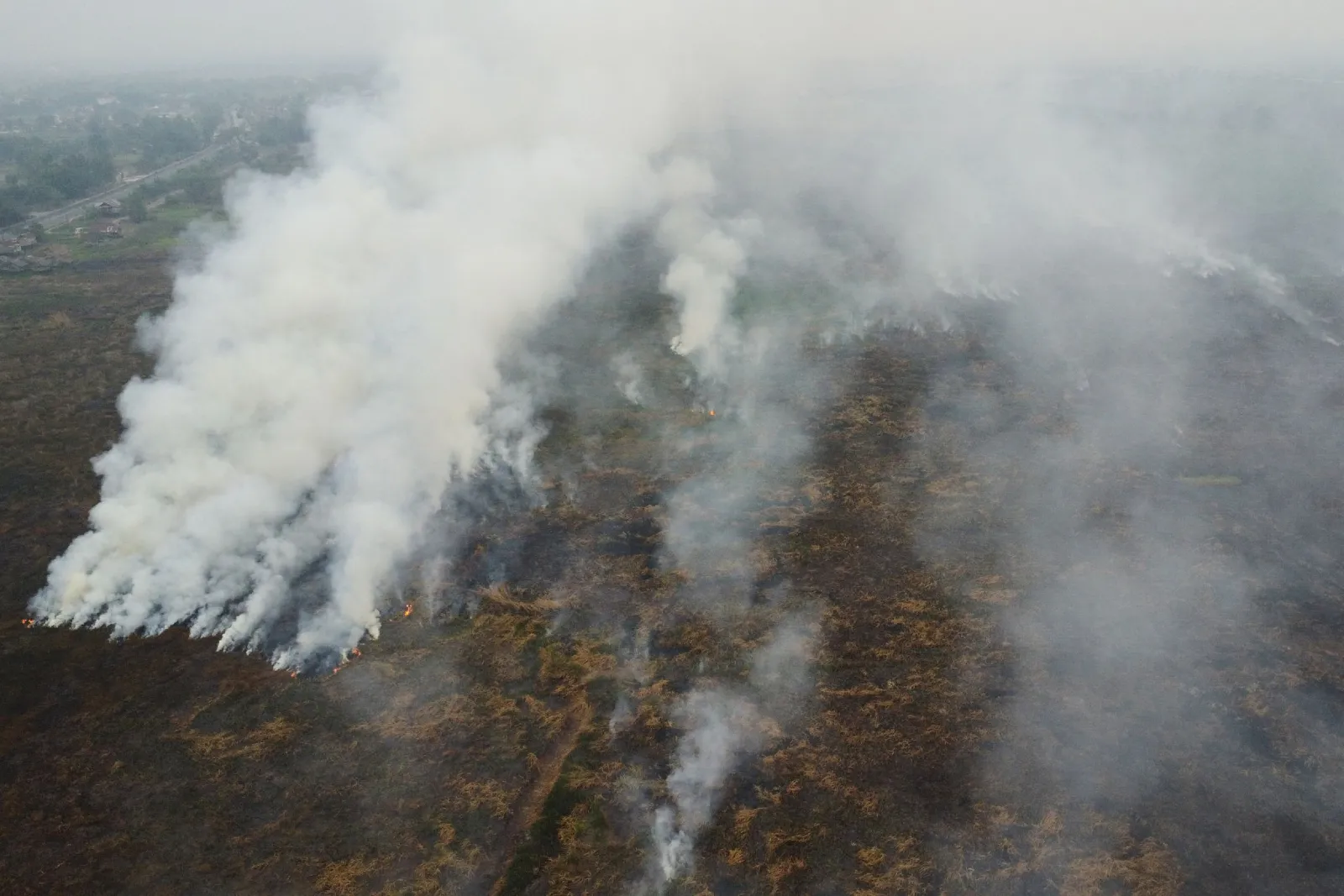 Indonesien lässt Wolken impfen – Regen gegen die Waldbrände