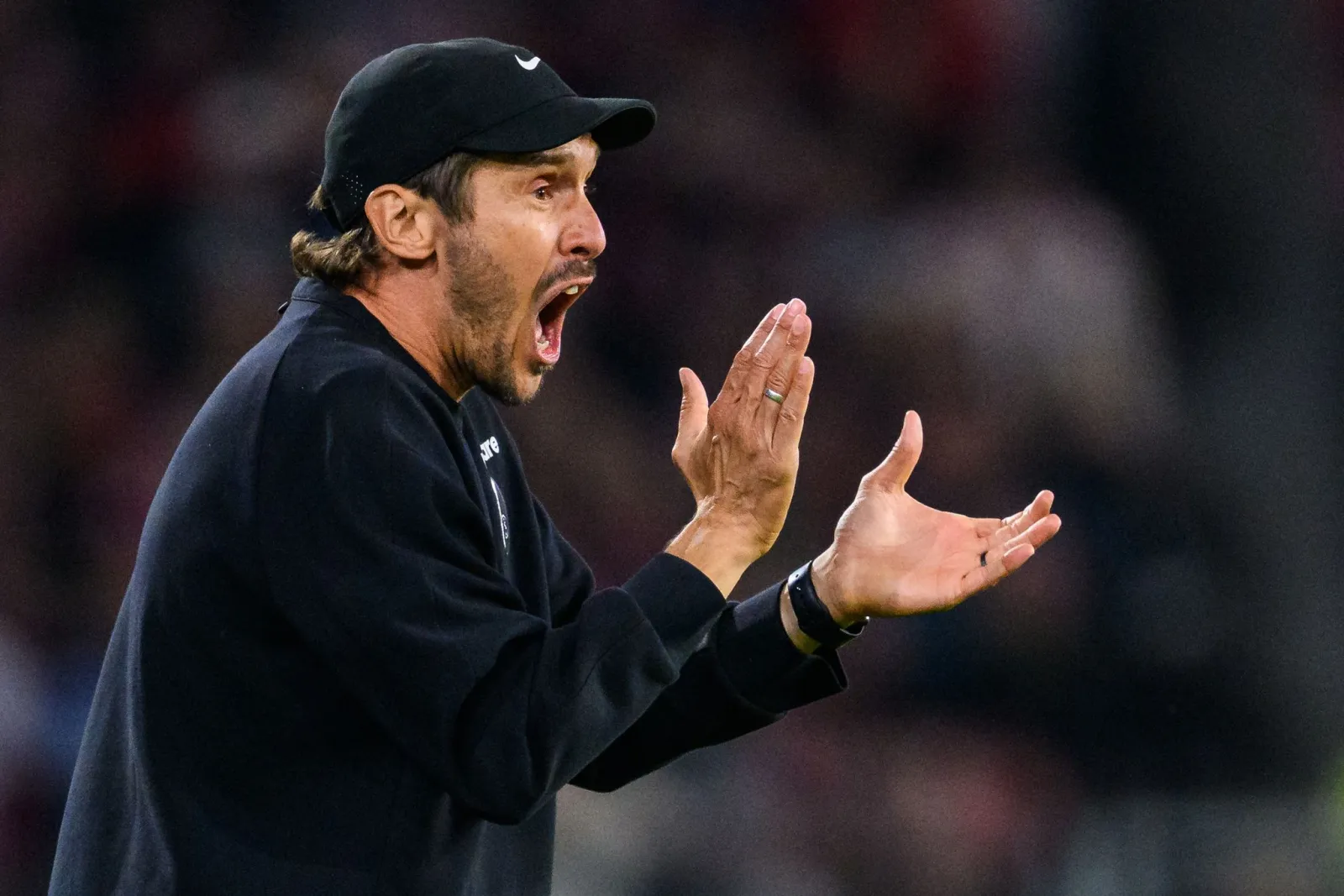 Jubilar Schuster: Freiburgs Trainer reitet die Erfolgswelle
