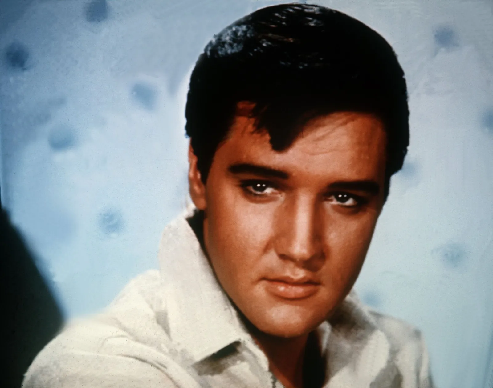 KI mit Elvis-Songs gefüttert: Millionenklage gegen Anthropic