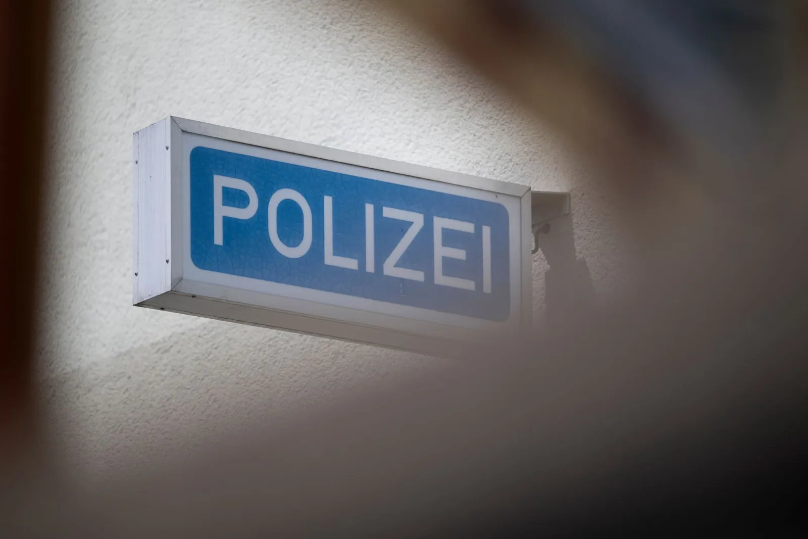 Kollision mit Rindern: 21-Jährige verletzt, zwei Tiere tot