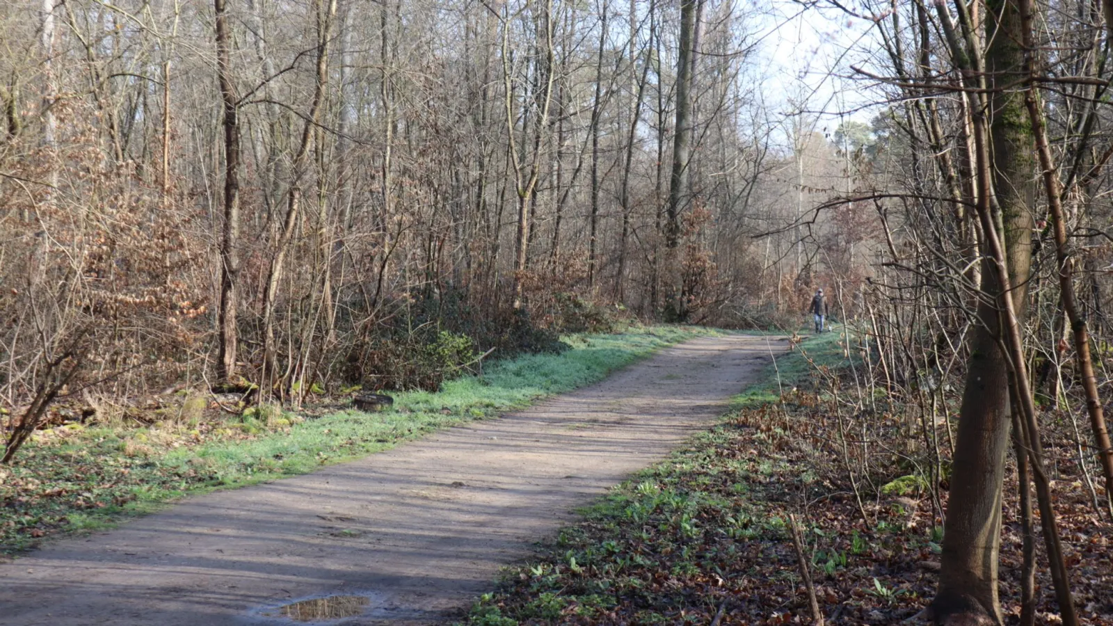 Mordprozess beginnt: 17-Jähriger soll Freundin getötet haben