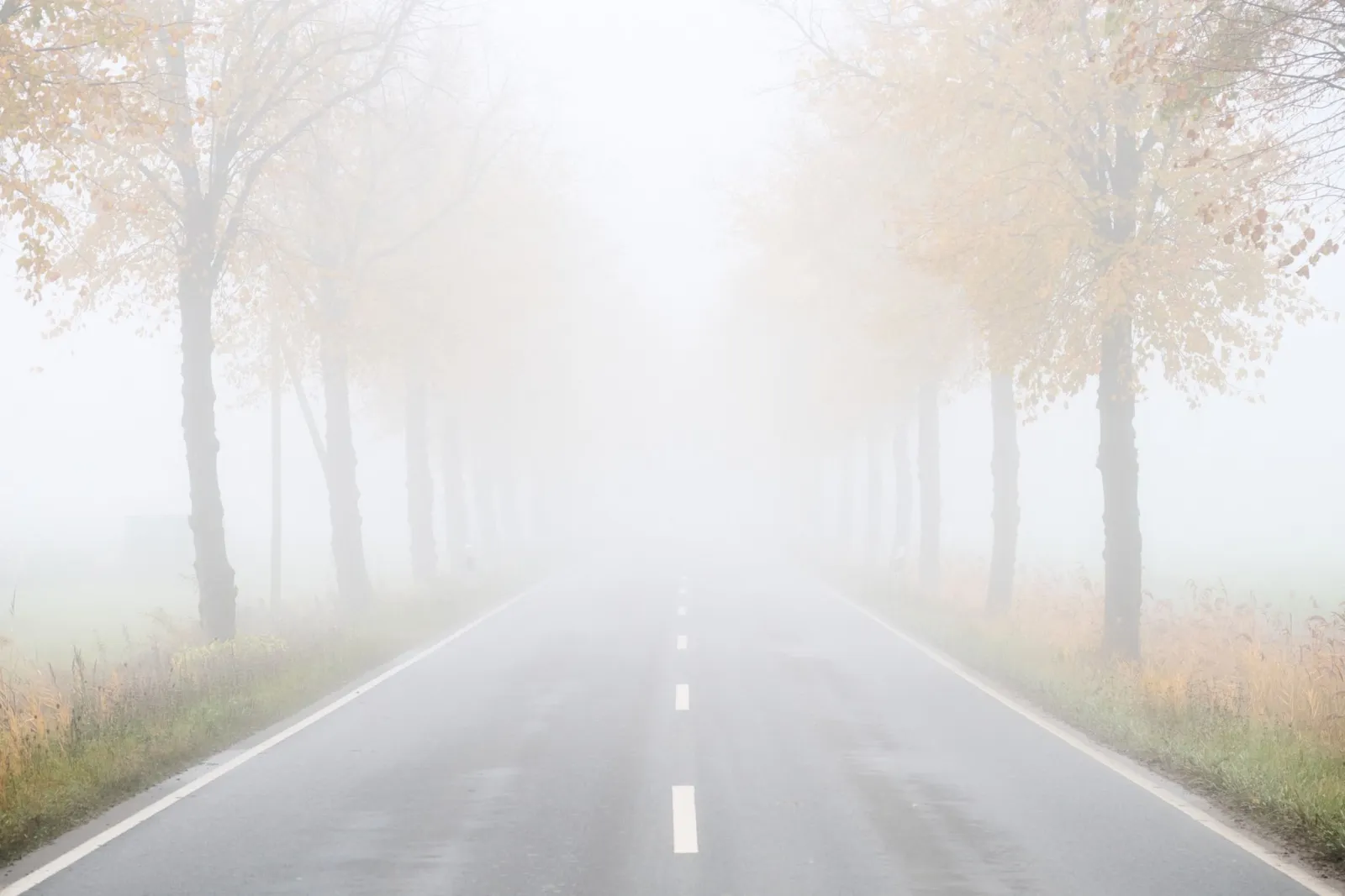 Neblig-trübes Wetter zu Halloween in Deutschland