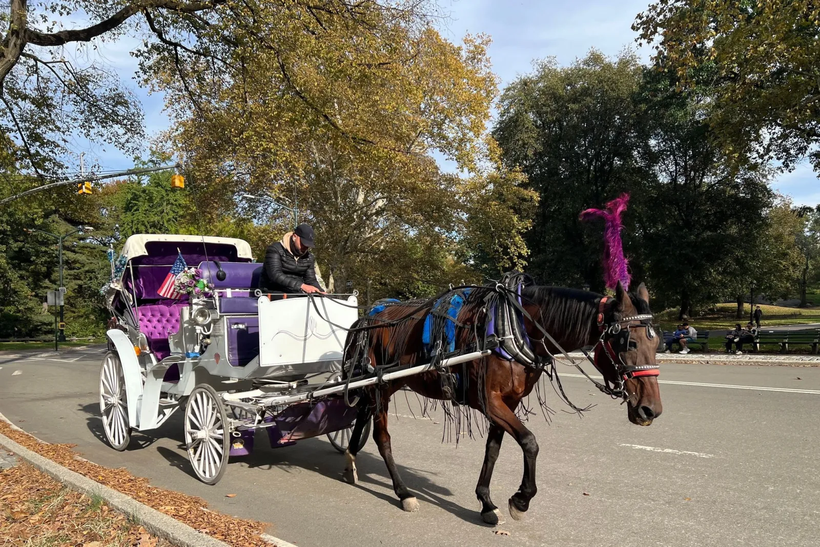 New Yorker Stadtrat: Aus für Pferdekutschen im Central Park