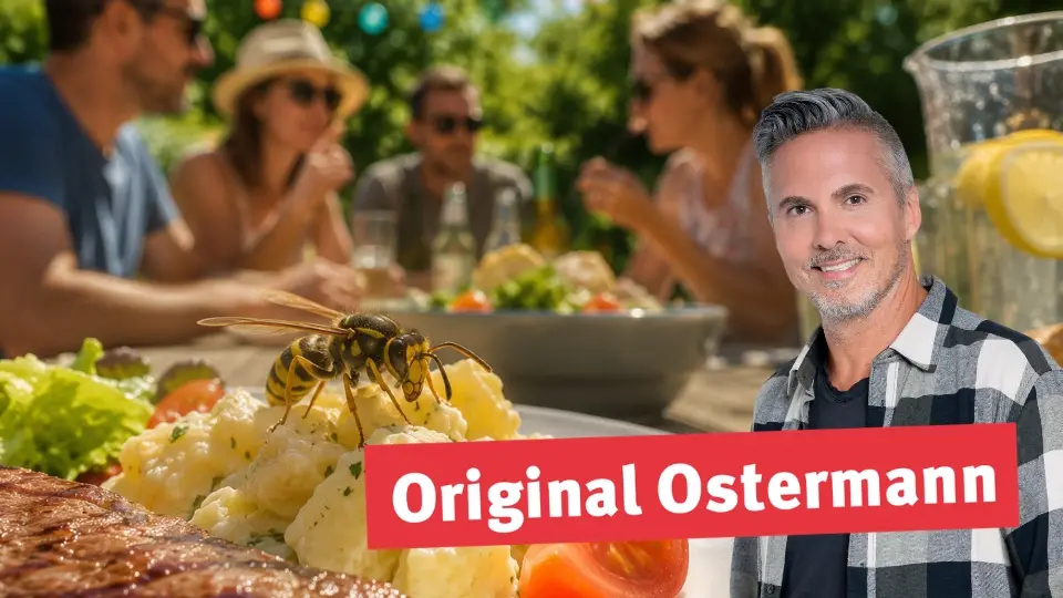 Original Ostermann: Gedanken einer Wespe