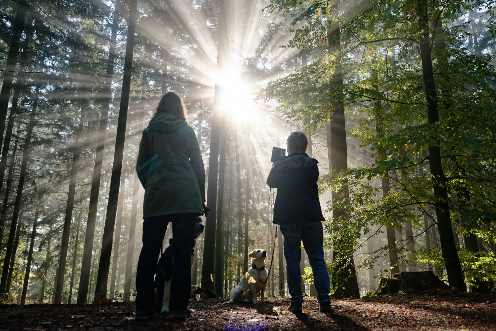 Sonne, Wind und milde Temperaturen am Wochenende