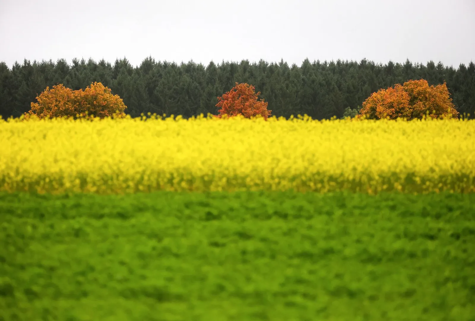 Sonniger Wochenstart - dann wird es wieder nass