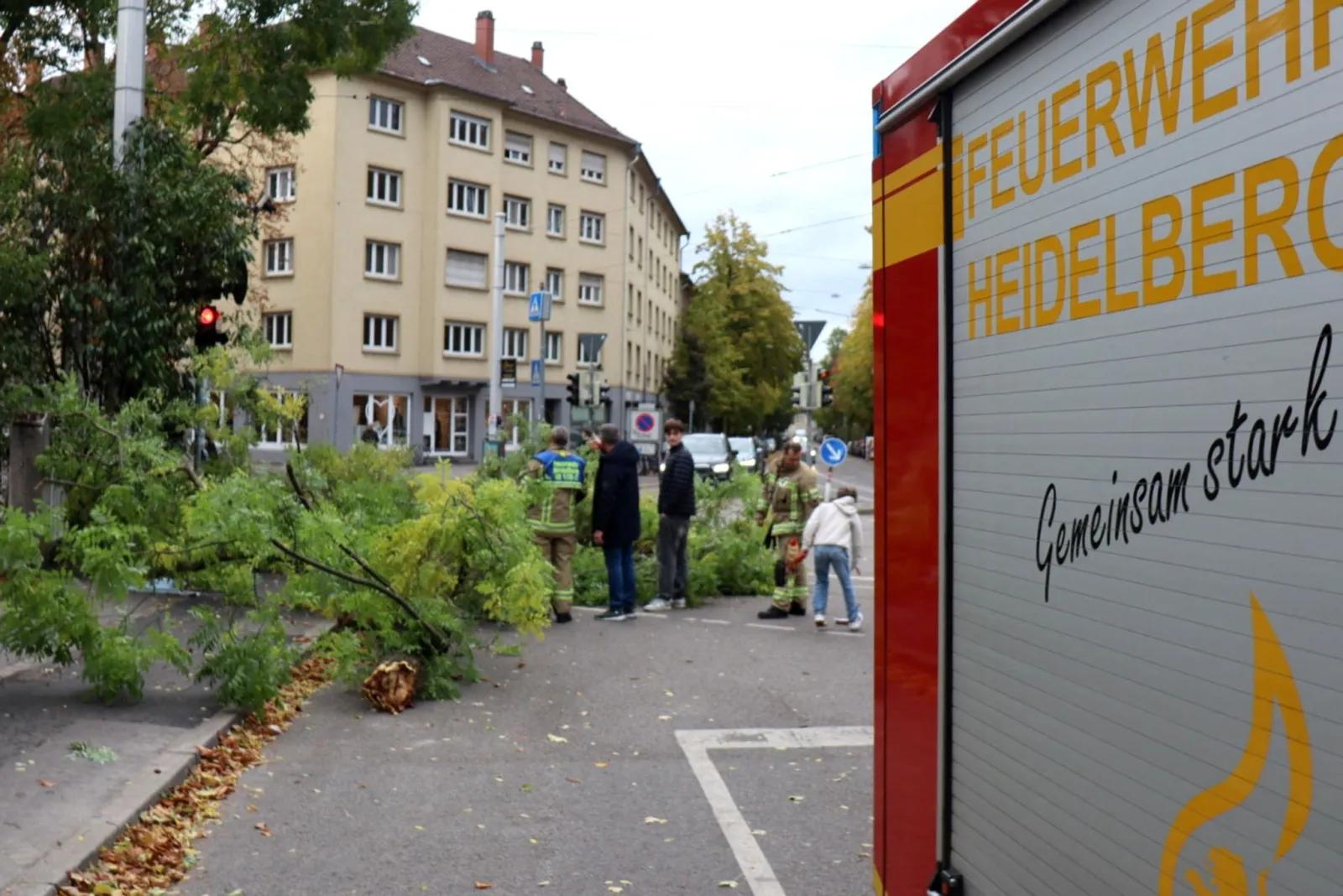 Sturmtief «Luise» entwurzelt Bäume - Ast trifft Radfahrerin
