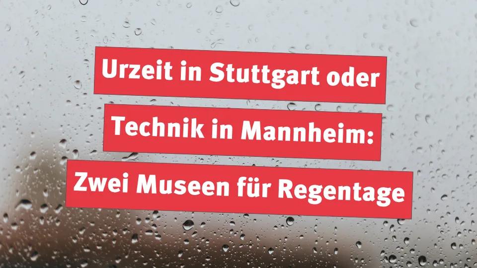 Urzeit in Stuttgart oder Technik in Mannheim: Zwei Museen für Regentage