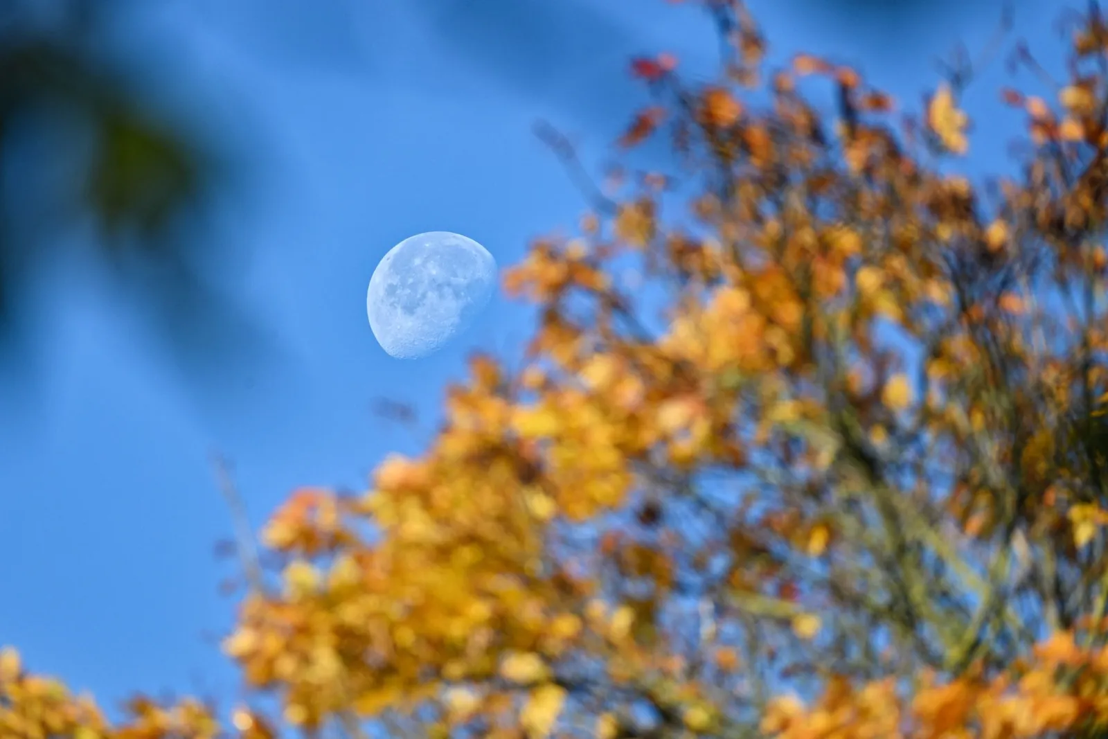 Wetterdienst: Oktober war nass und warm