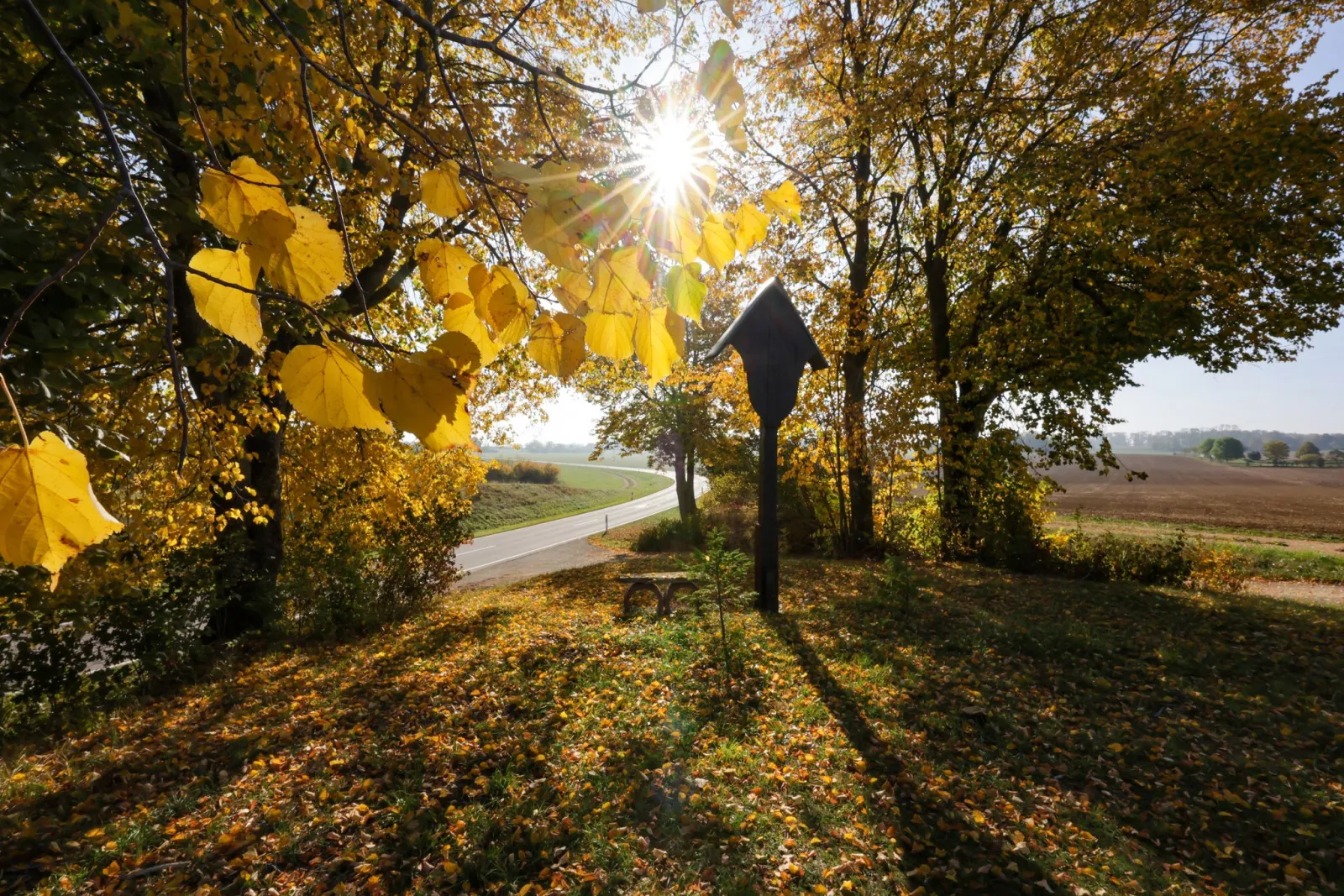 Wo am Dienstag 21 Grad in Baden-Württemberg möglich sind