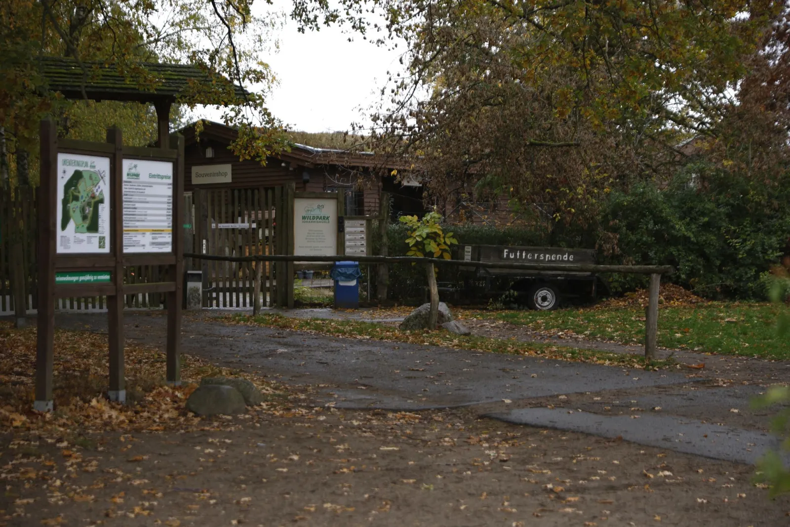 Wolfsangriff: Polizei ermittelt gegen Wildpark-Mitarbeiterin